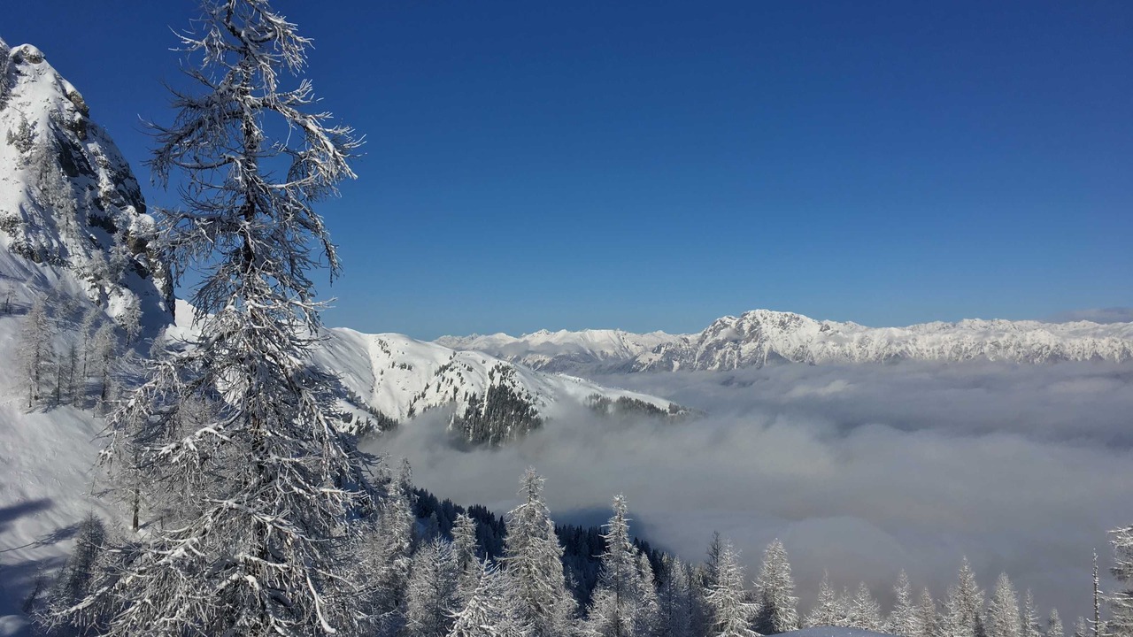 Photo of Others in Tropolach