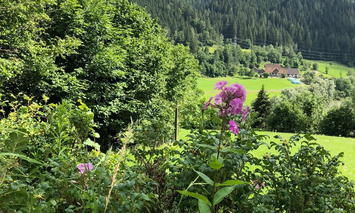 Photo of Outdoor in Auen
