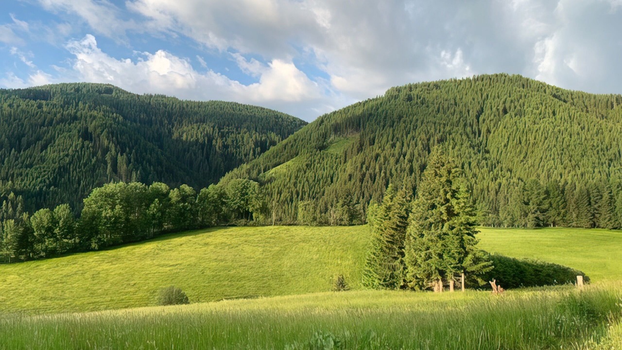 Photo of Others in Krakauhintermuehlen