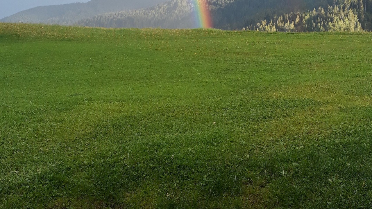 Photo of Outdoor in Krakauhintermuehlen