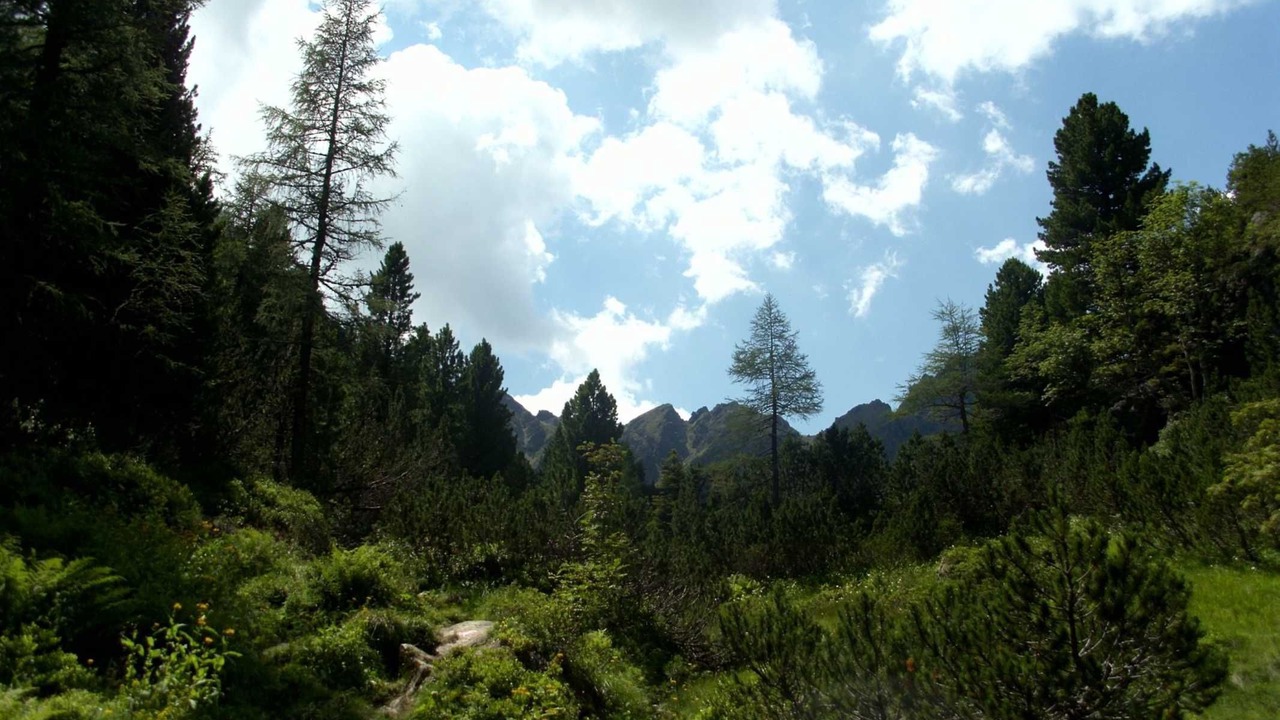 Photo of Others in Krakauhintermuehlen