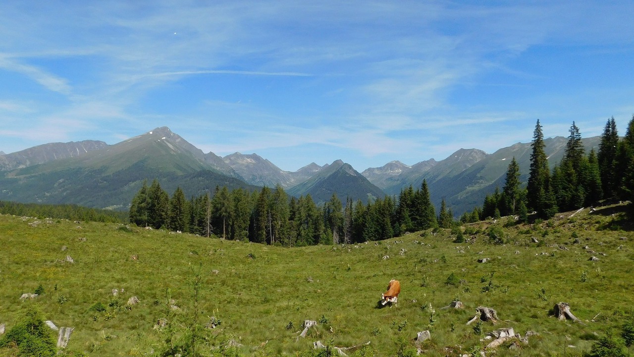 Photo of Others in Krakauhintermuehlen