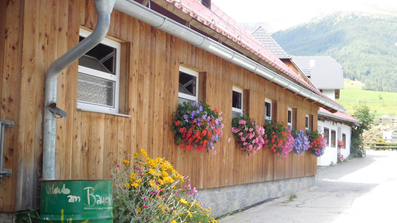 Photo of Outdoor in Krakauhintermuehlen