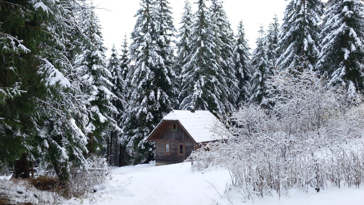 Photo of Outdoor in Krakauhintermuehlen