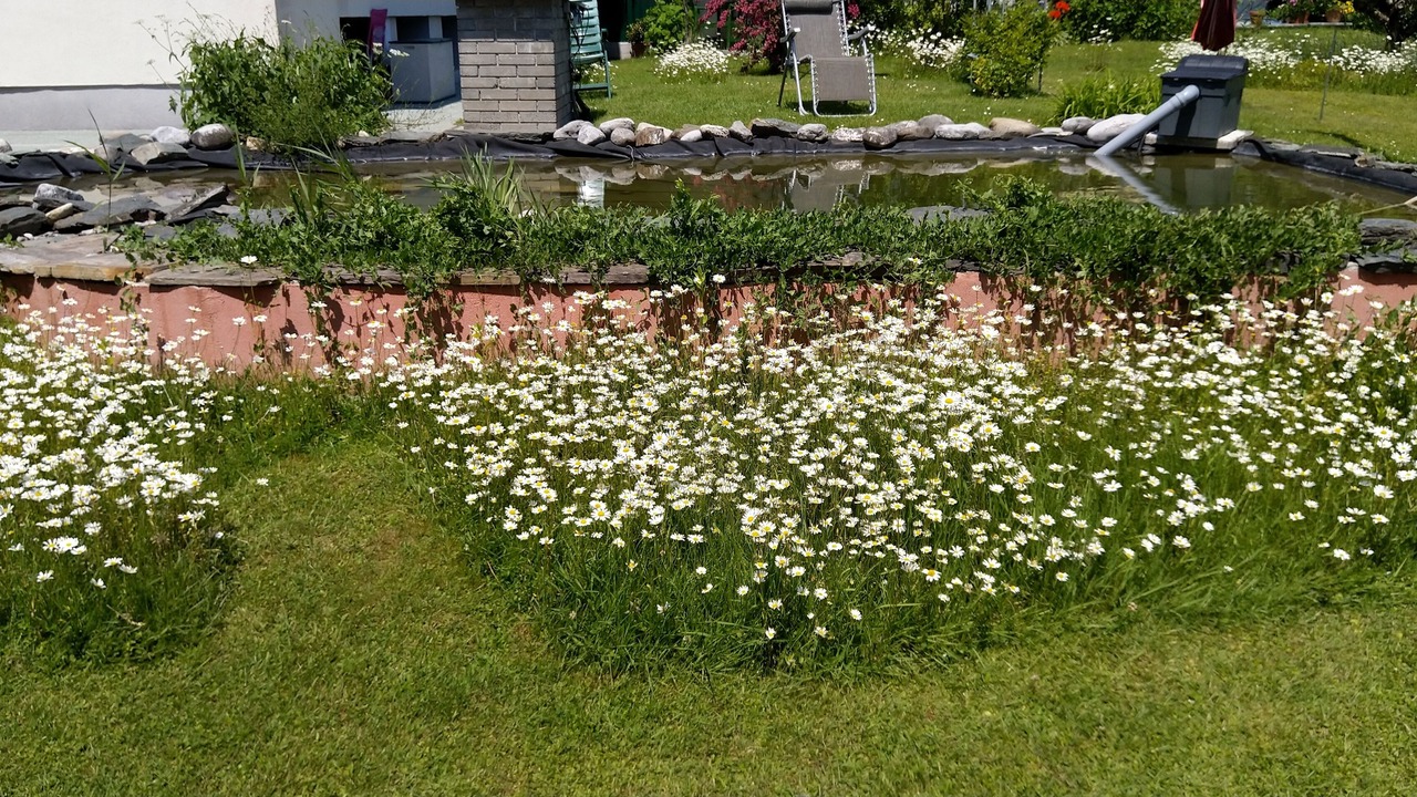 Photo of Outdoor in Velden am Worther See