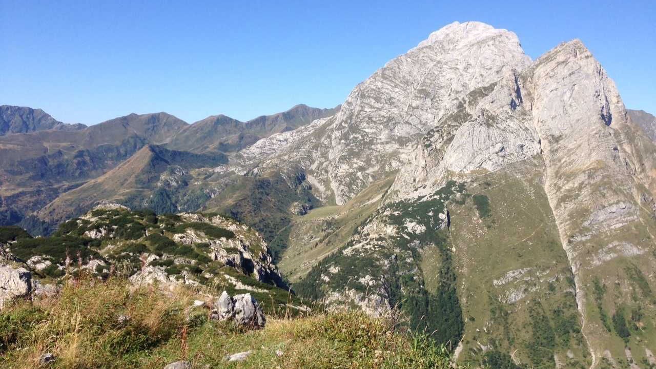 Photo of Others in Tropolach