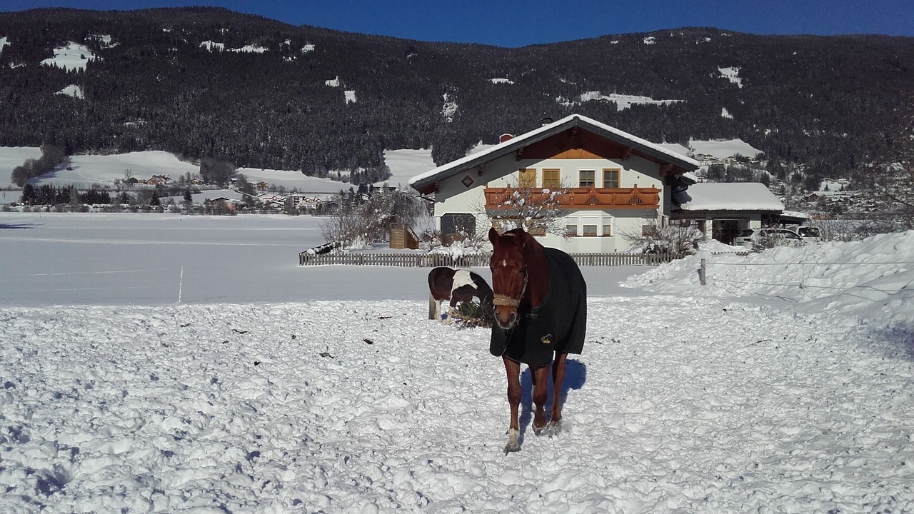 Photo of Outdoor in Radstadt