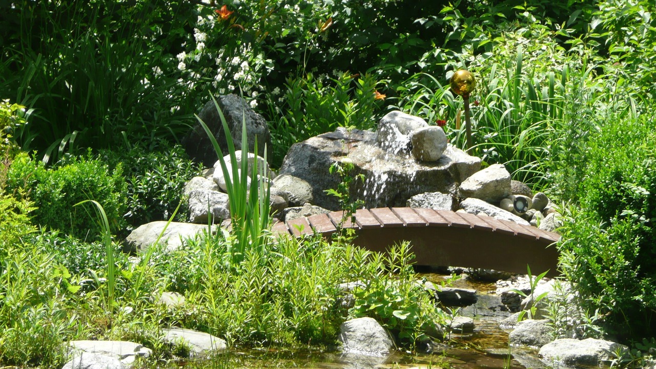 Photo of Outdoor in Maishofen