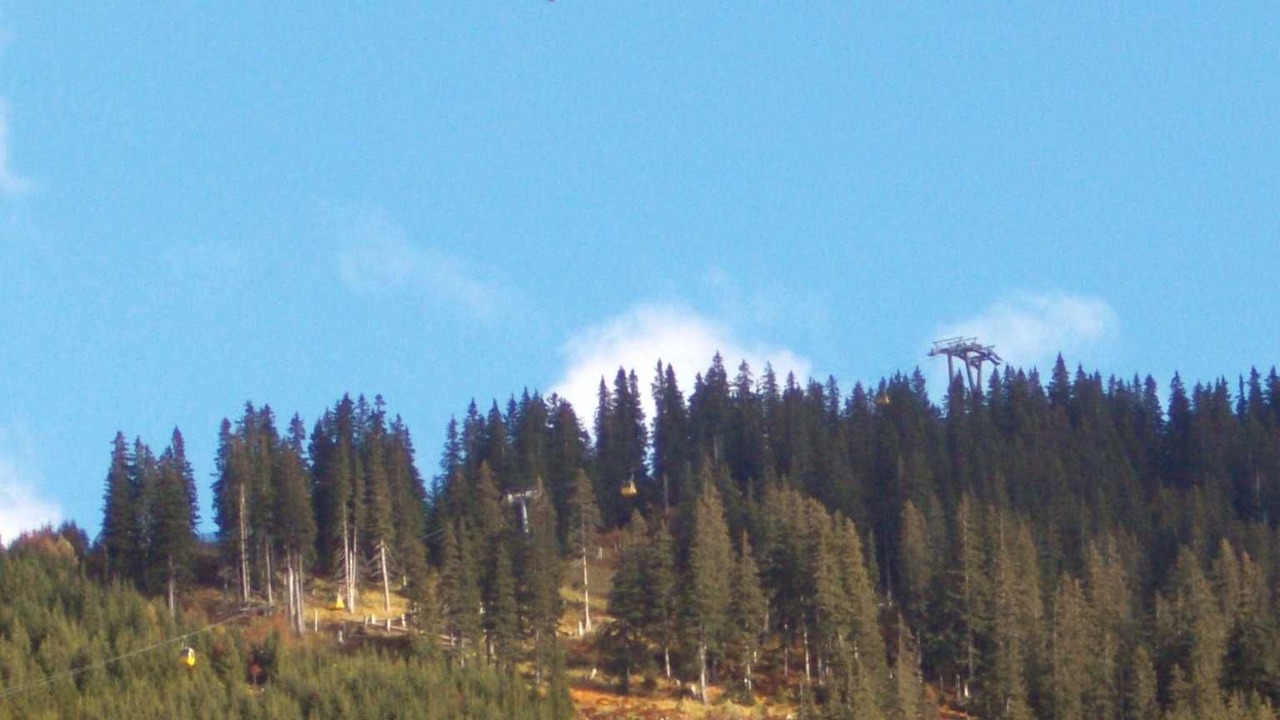 Photo of Others in Nesselwaengle