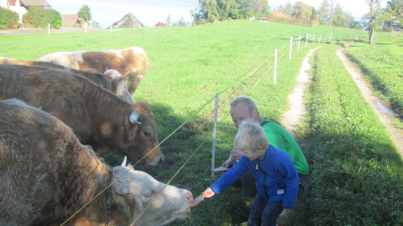Photo of Others in Steinbach am Attersee