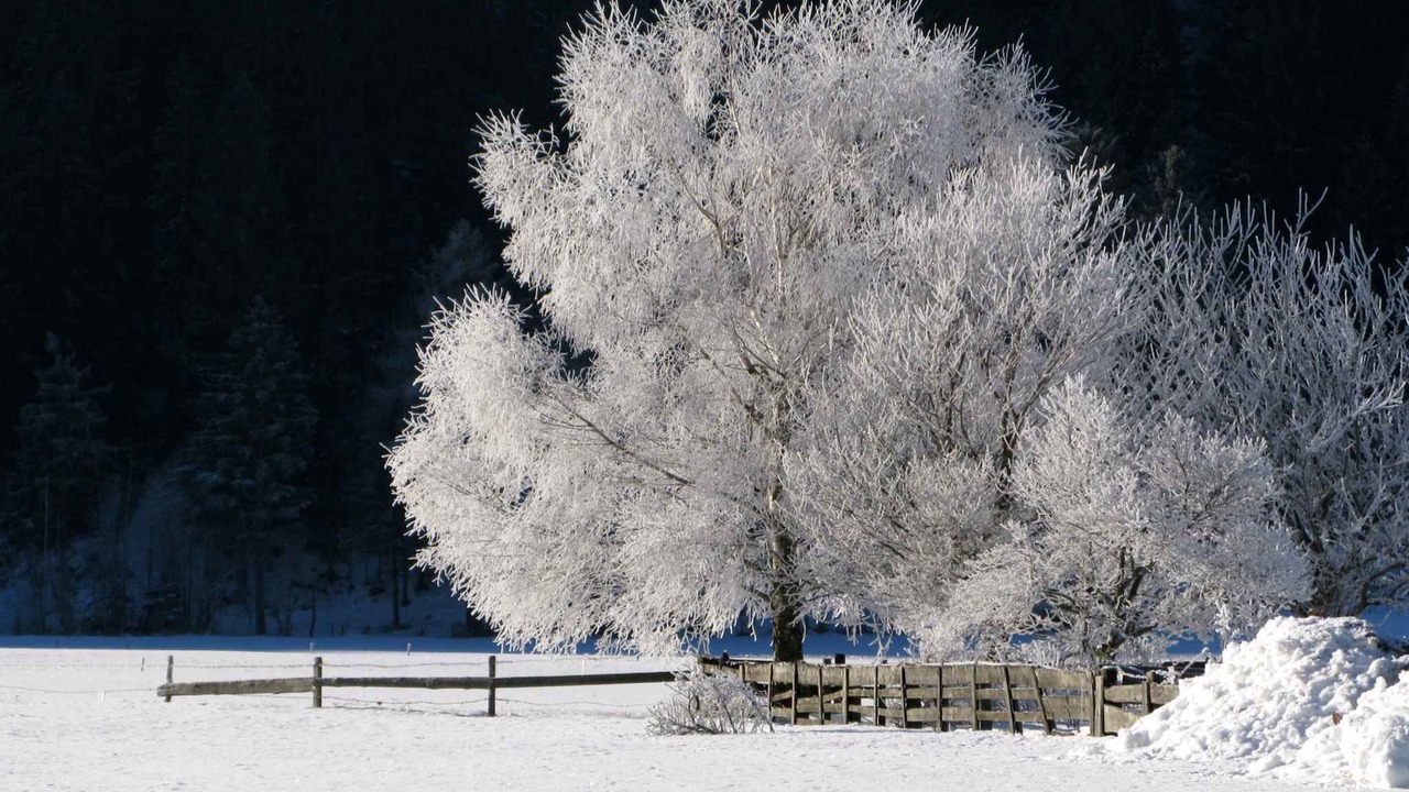 Photo of Others in Obervellach