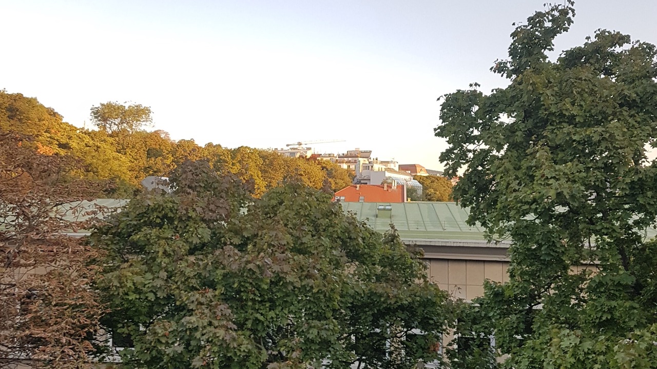 Photo of Outdoor in Alservorstadt