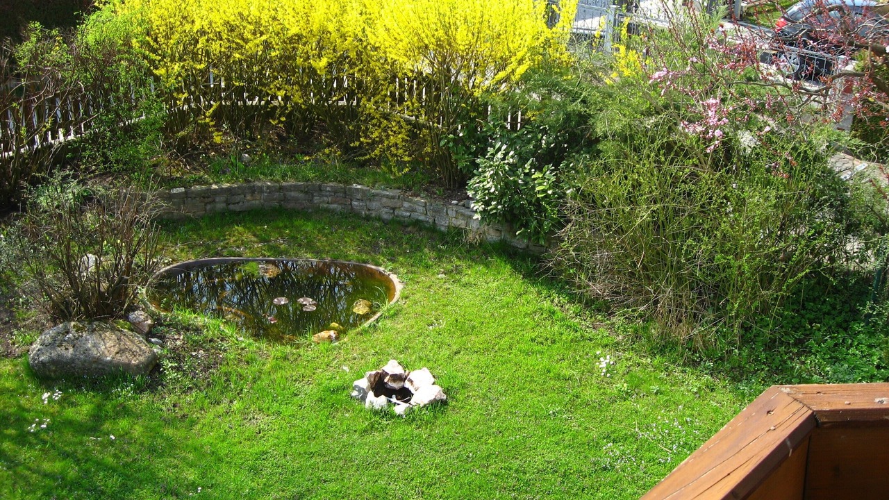 Photo of Outdoor in Wals