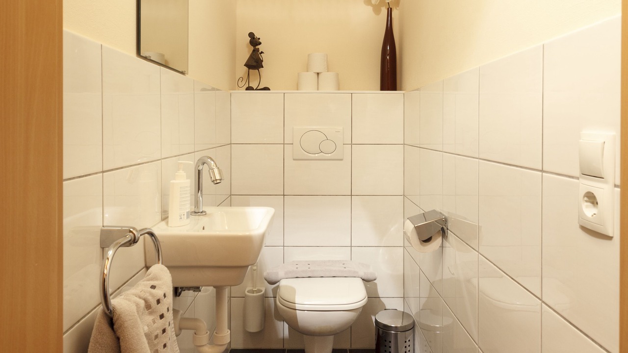 Photo of Bathroom in Vandans