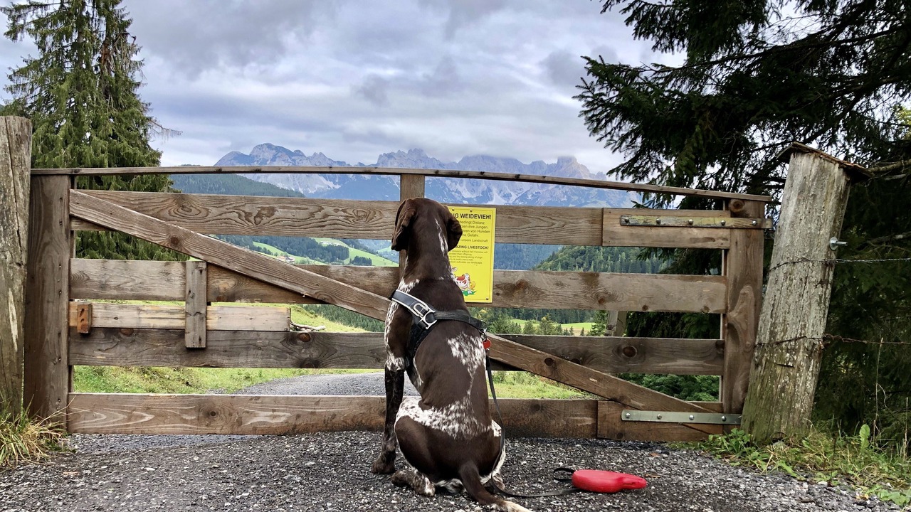 Photo of Outdoor in Annaberg im Lammertal