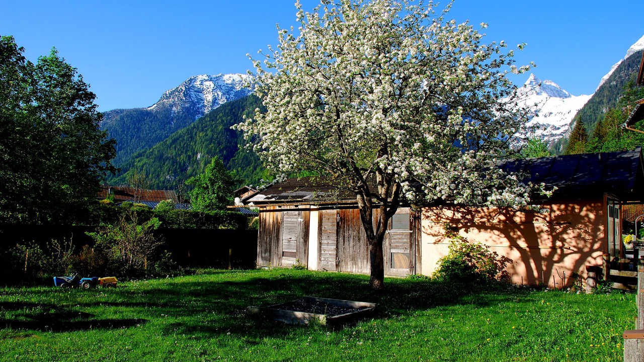 Photo of Outdoor in Lofer