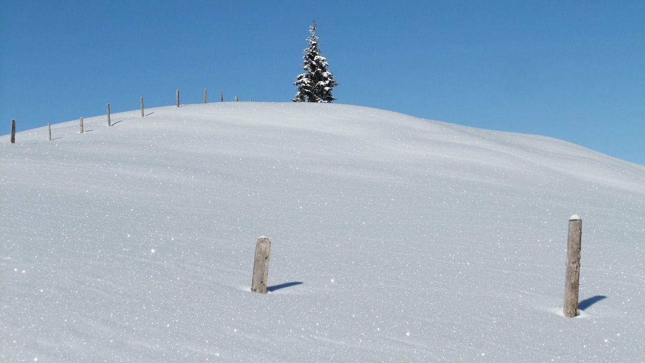 Photo of Others in Annaberg im Lammertal
