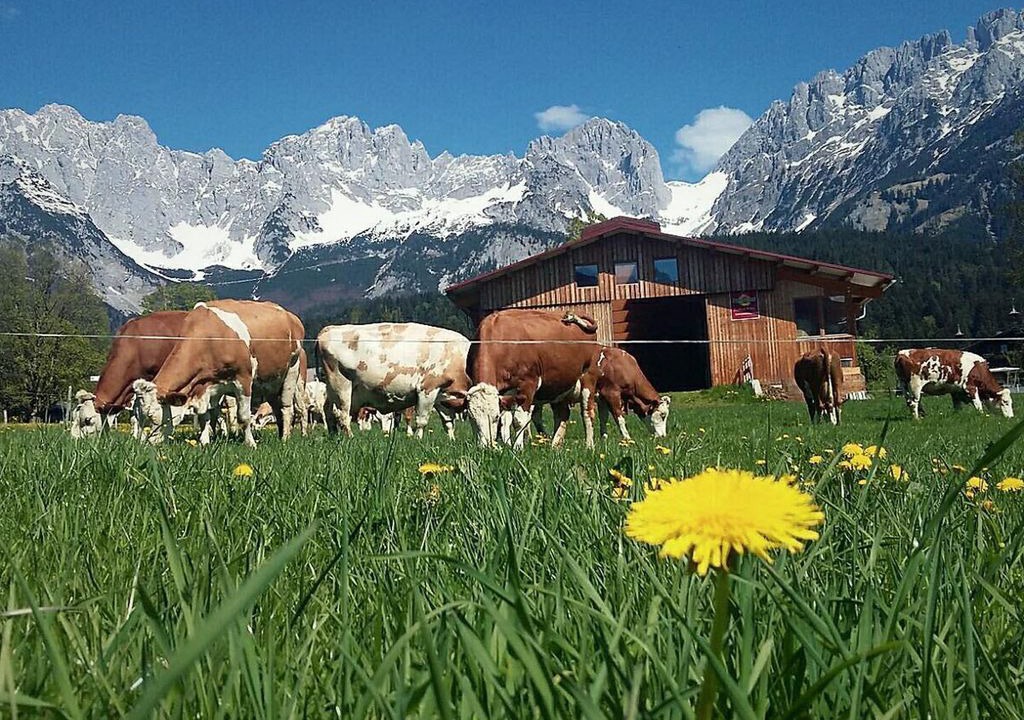 Photo of Others in Going am Wilden Kaiser