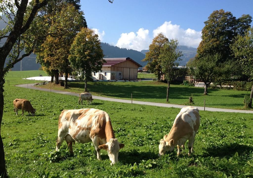 Photo of Others in Going am Wilden Kaiser