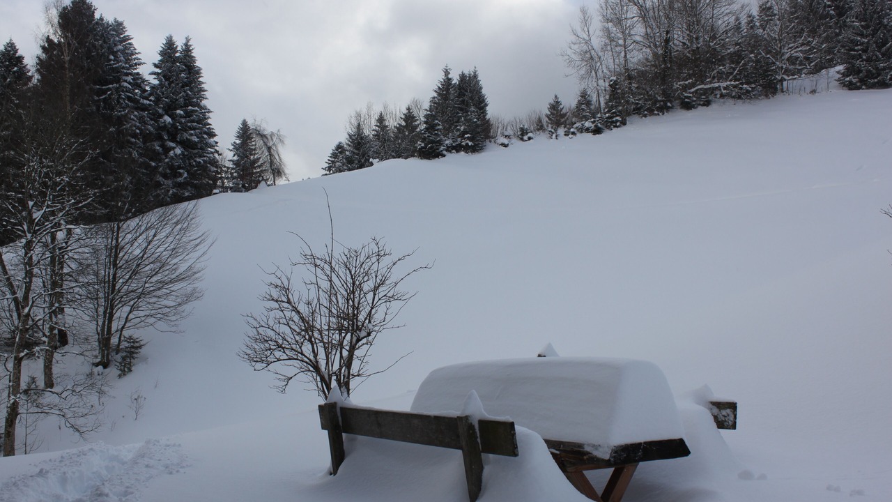 Photo of Outdoor in Alberschwende