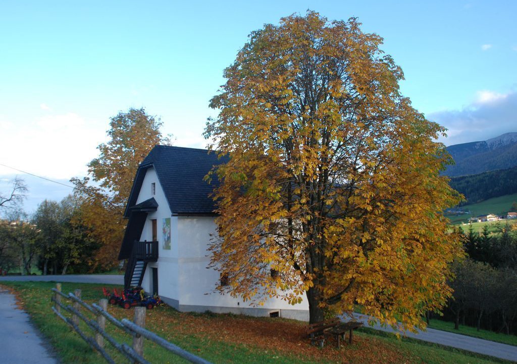 Photo of Outdoor in Vorderstoder