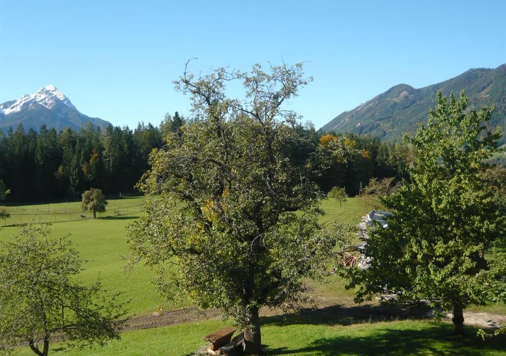 Photo of Others in Vorderstoder