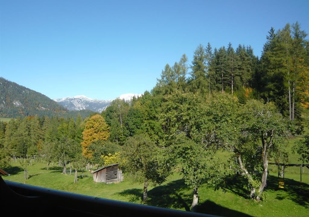 Photo of Others in Vorderstoder