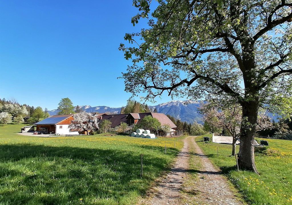 Photo of Outdoor in Rossleithen