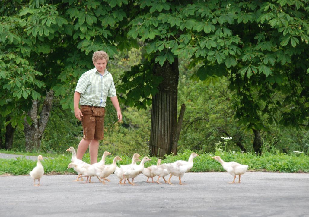 Photo of Others in Vorderstoder