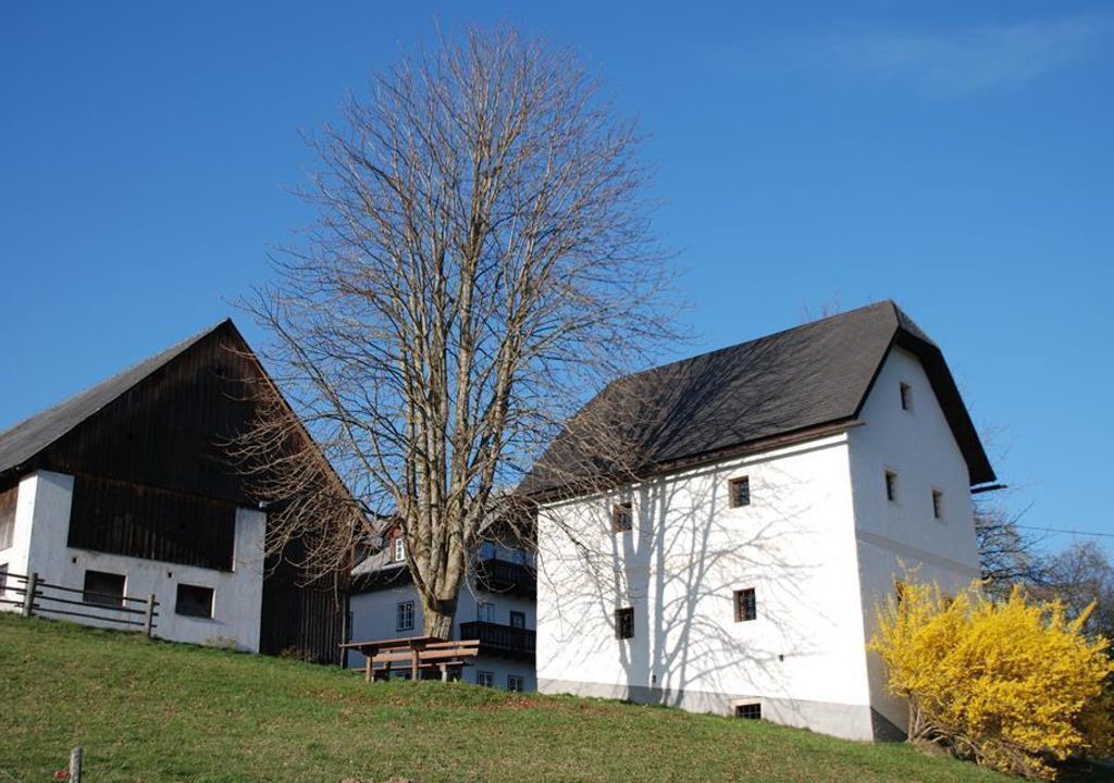 Photo of Outdoor in Vorderstoder