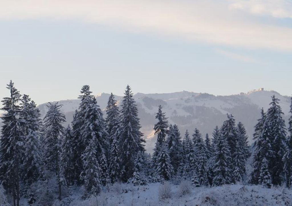 Photo of Others in Going am Wilden Kaiser