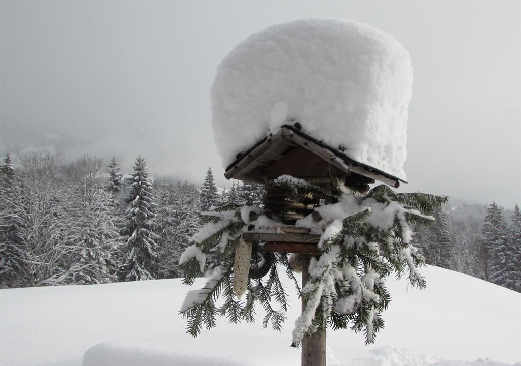 Photo of Others in Scheffau am Wilden Kaiser