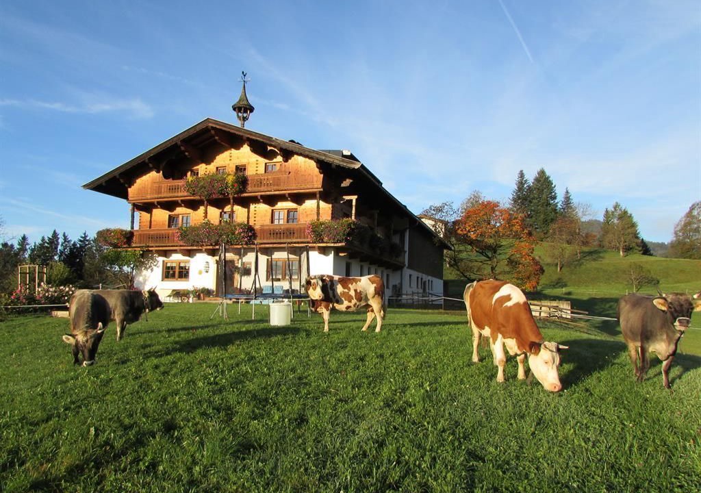 Photo of Outdoor in Scheffau am Wilden Kaiser