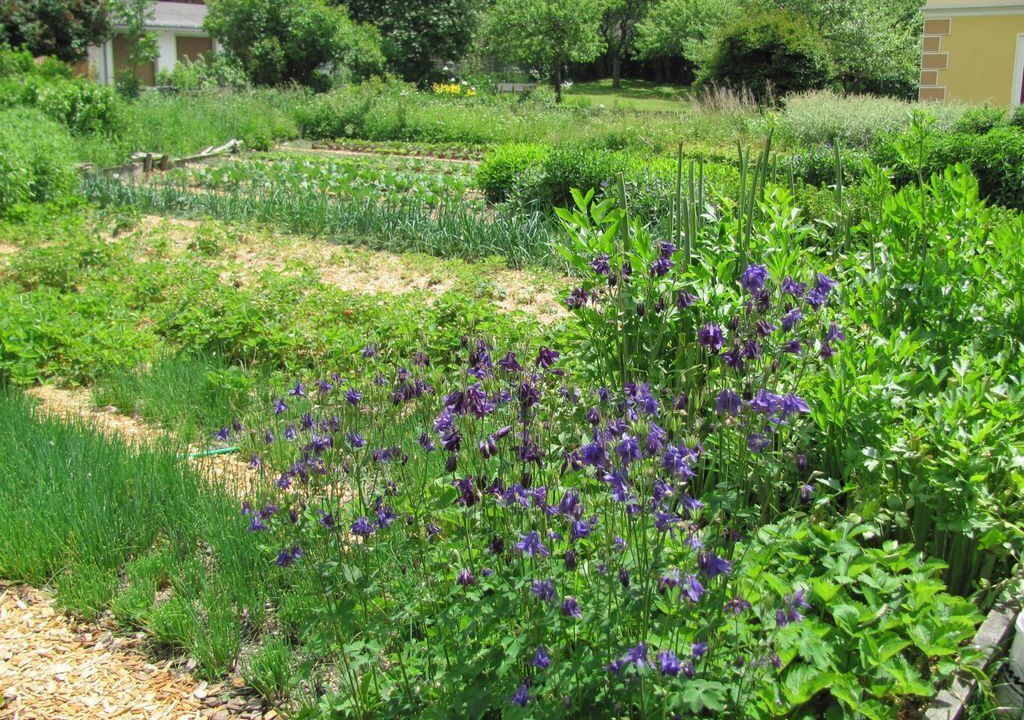 Photo of Outdoor in Mariapfarr