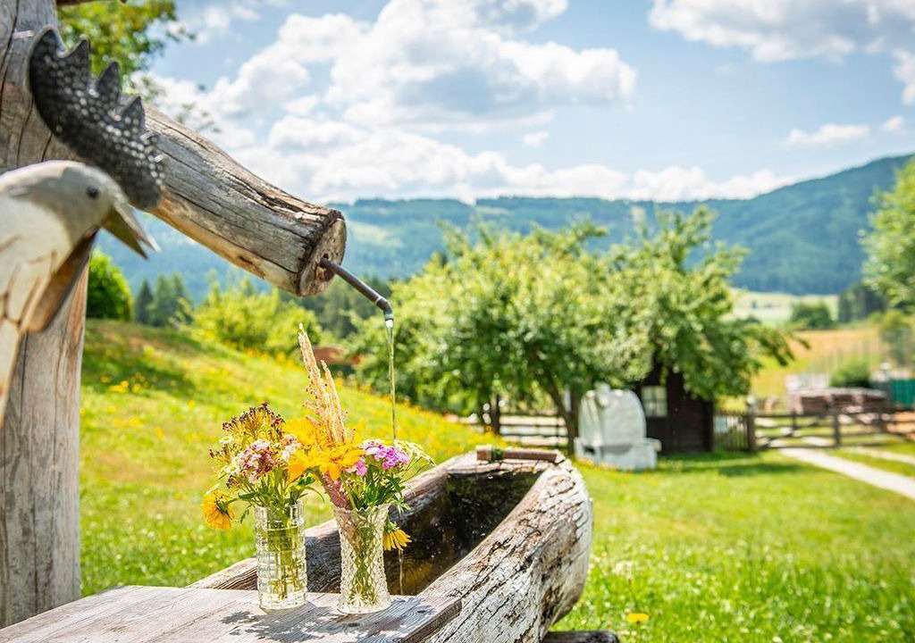 Photo of Outdoor in Mariapfarr