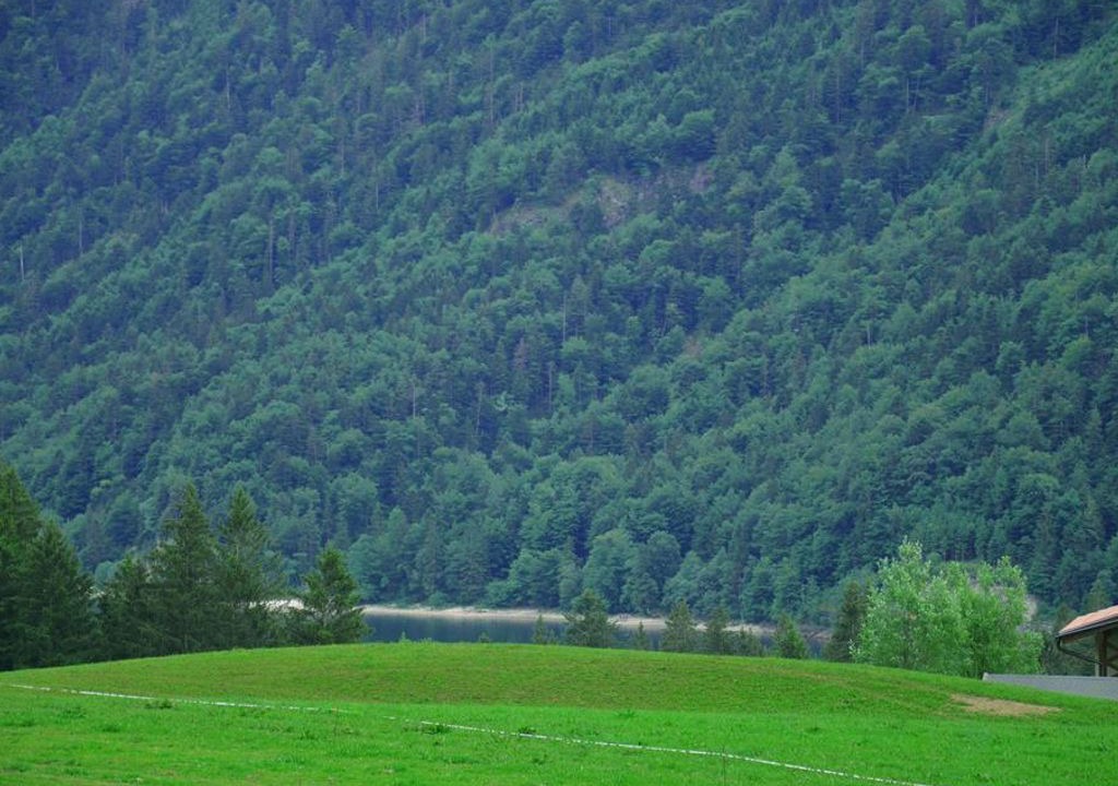 Photo of Others in Faistenau