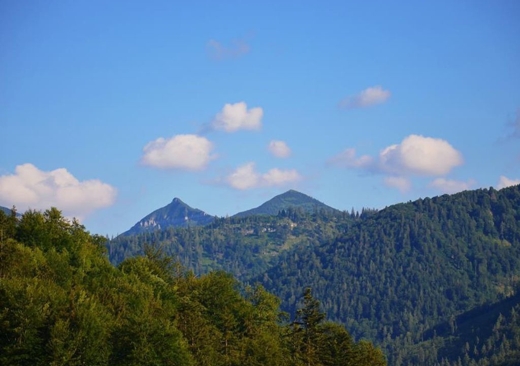 Photo of Others in Faistenau