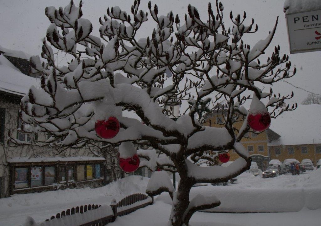 Photo of Outdoor in Faistenau