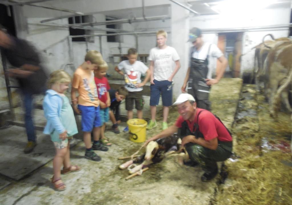 Photo of Others in Mauterndorf