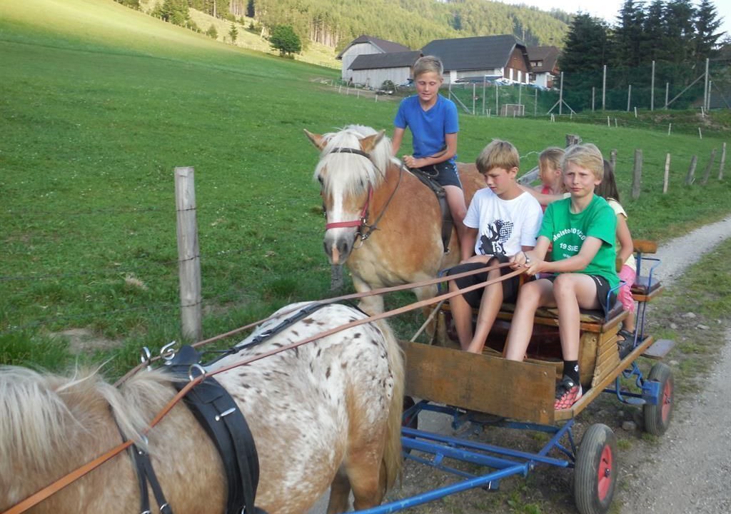 Photo of Others in Mauterndorf