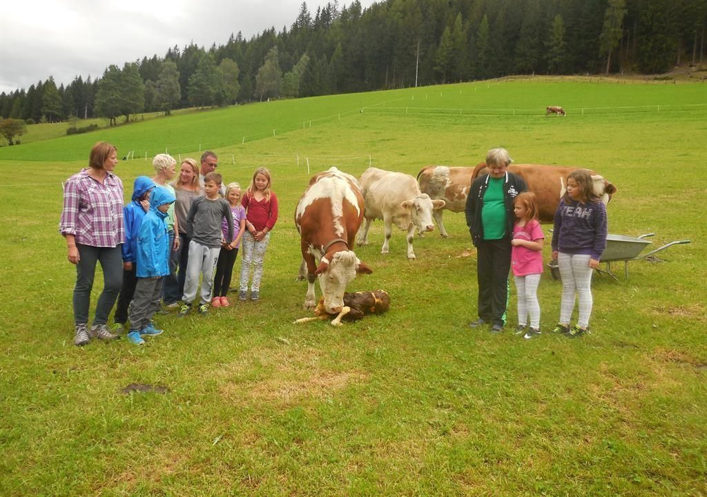 Photo of Others in Mauterndorf