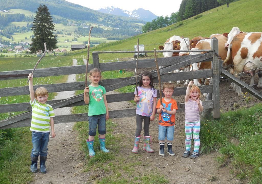 Photo of Others in Mauterndorf