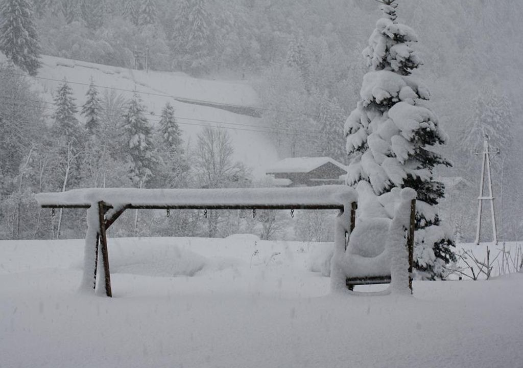 Photo of Others in Leogang