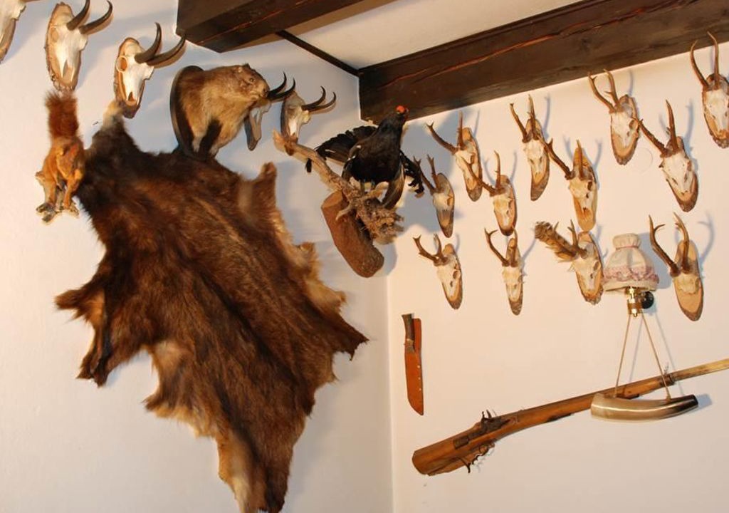 Photo of Others in Goeriach