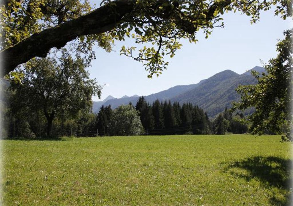 Photo of Others in Faistenau
