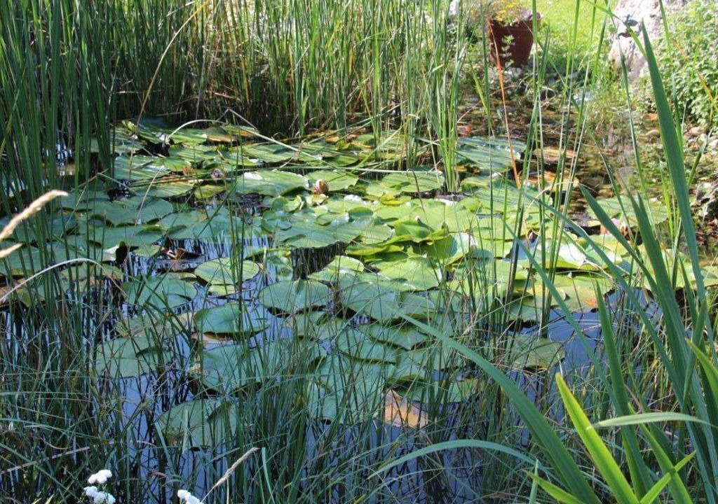 Photo of Outdoor in Sankt Michael im Lungau