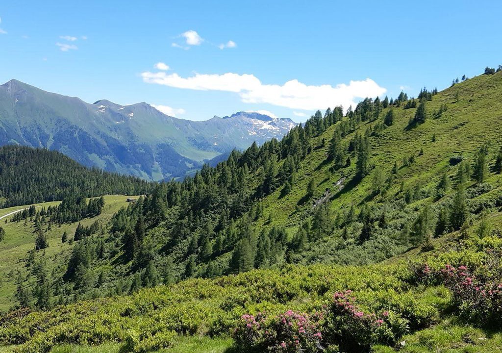 Photo of Others in Rauris