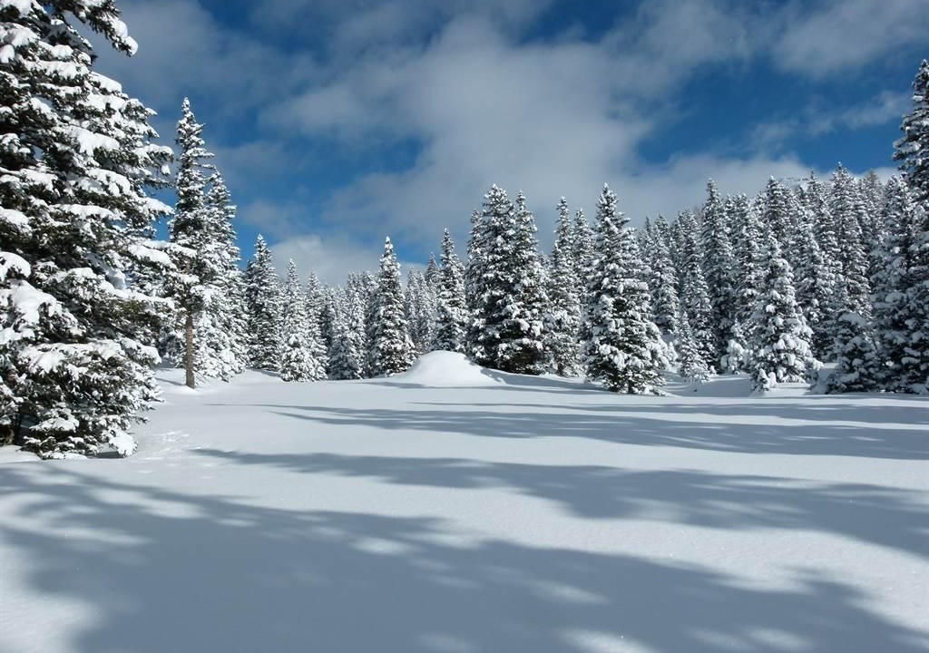 Photo of Others in Rauris