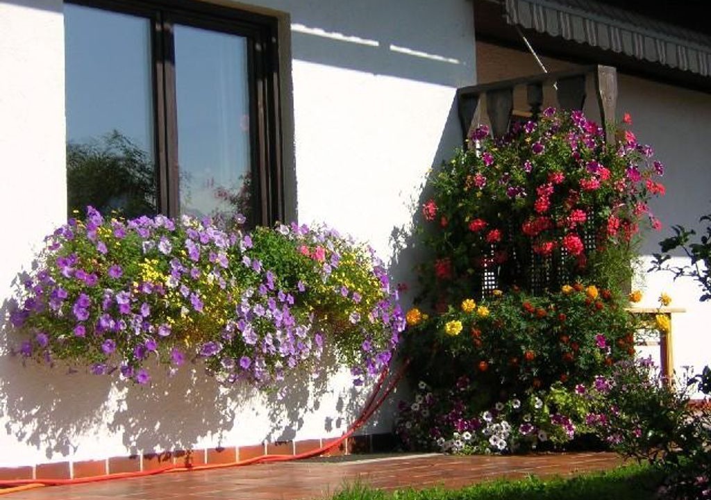 Photo of Outdoor in Ebenau