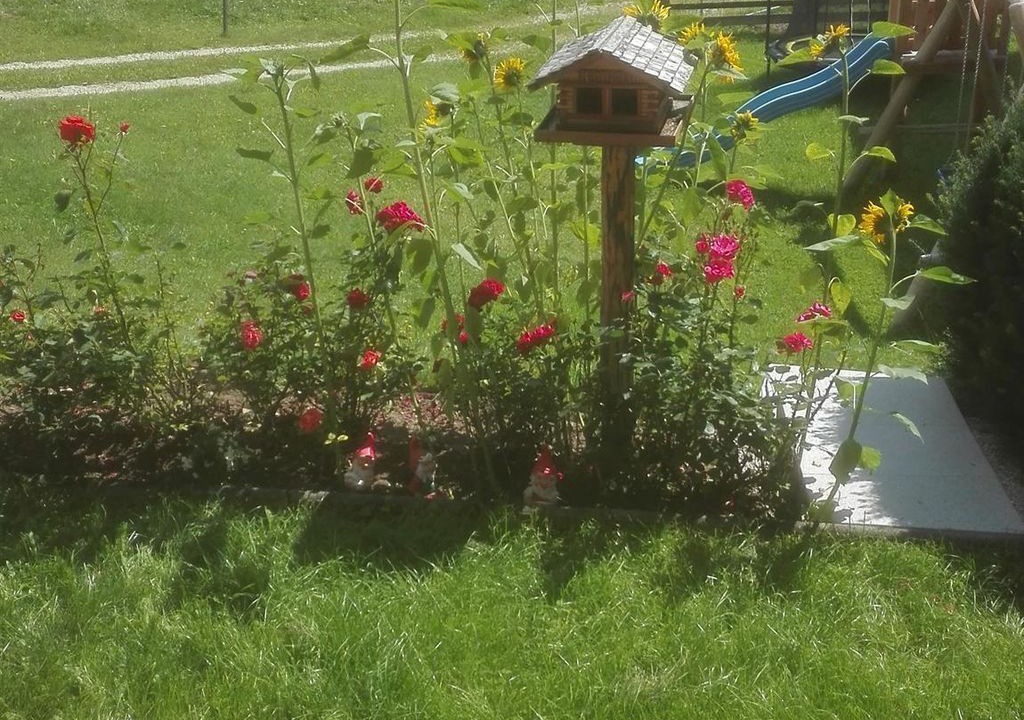 Photo of Outdoor in Mariapfarr